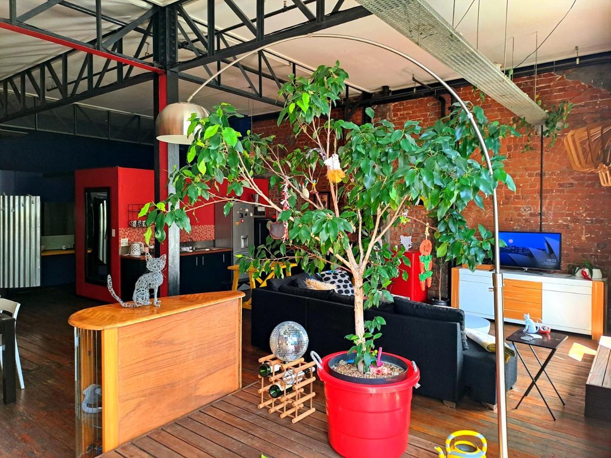 Pet-Friendly City Loft Apartment Cape Town Ngoại thất bức ảnh